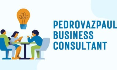 Pedrovazpaulo Business Consultant