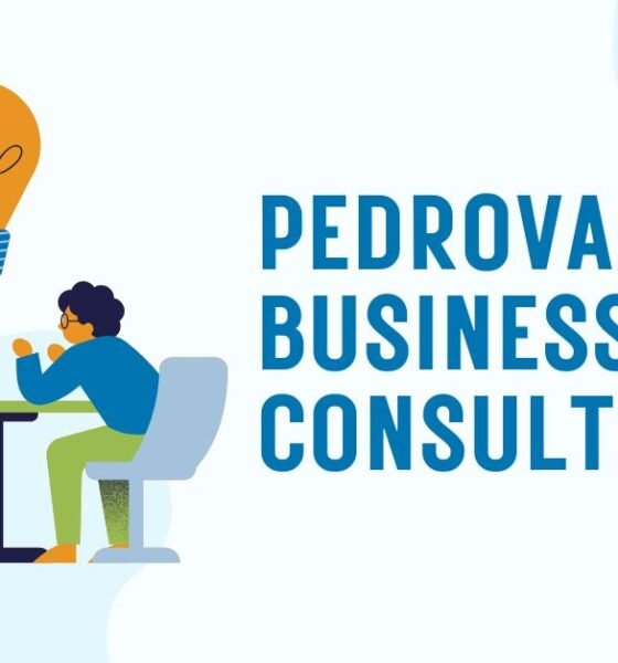 Pedrovazpaulo Business Consultant