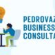 Pedrovazpaulo Business Consultant