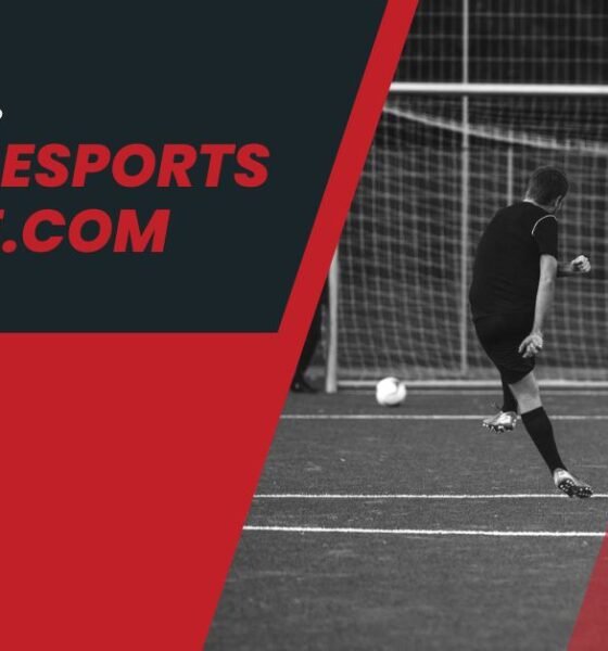 www . seattlesportsonline.com